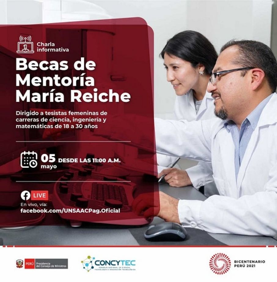 Presentación BECAS MARIA REICHE