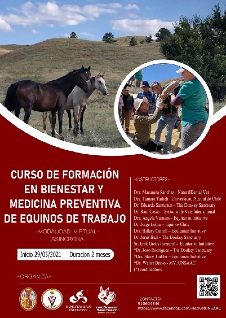 CURSO DE FORMACIÓN EN BIENESTAR Y MEDICINA PREVENTIVA EN EQUINOS DE TRABAJO,